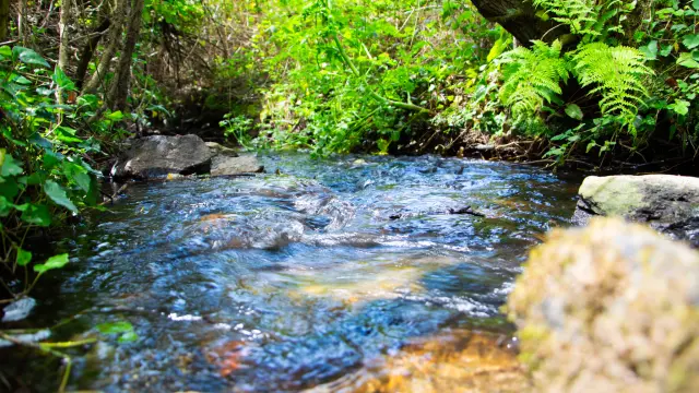 Percorso del treno delle carote - Plonéour-Lanvern