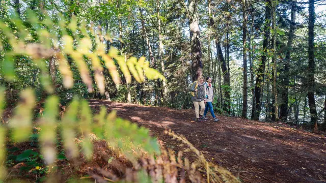 Bois de Roscuré à Sainte-Marine