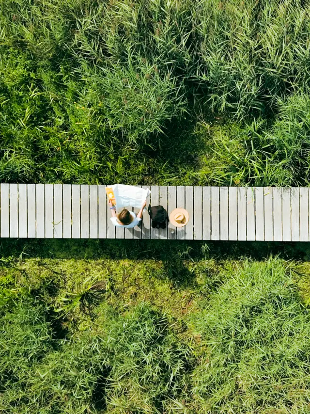passerelle dans la nature Tréogat ©F.-Coisy