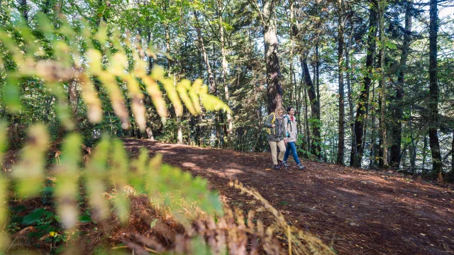 Bois de Roscuré à Sainte-Marine