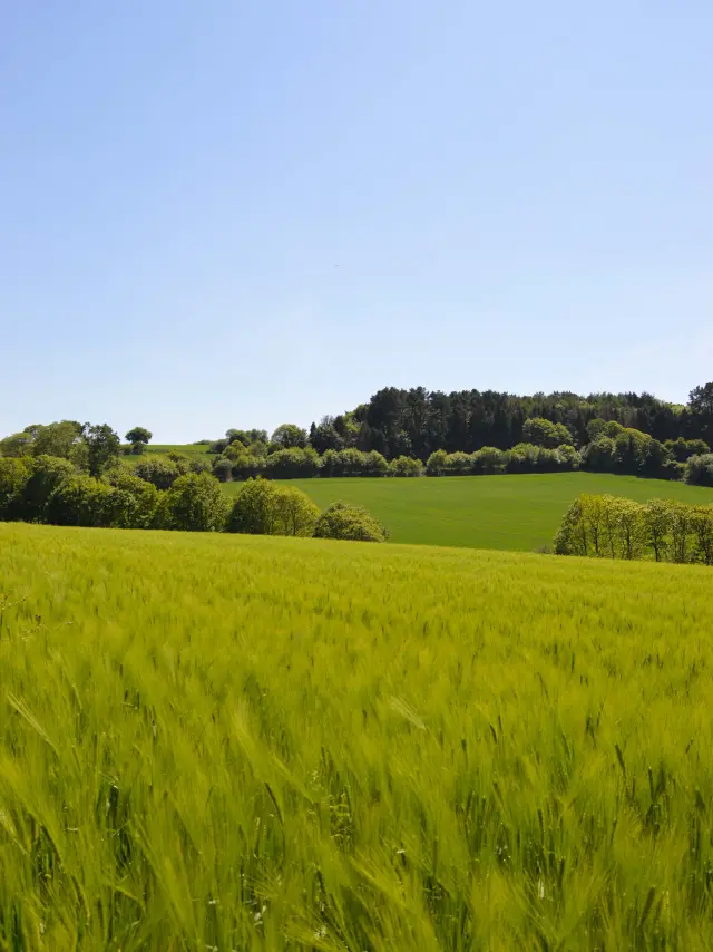 Landudec countryside