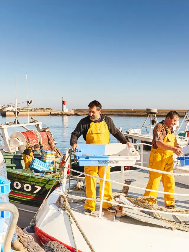 Port de pêche du Guilvinec