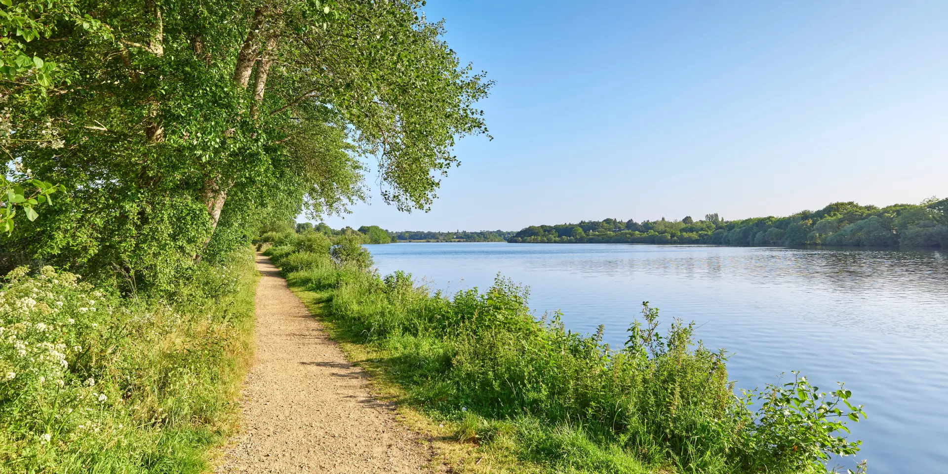 Stagno del Moulin Neuf - Ploneour Lanvern