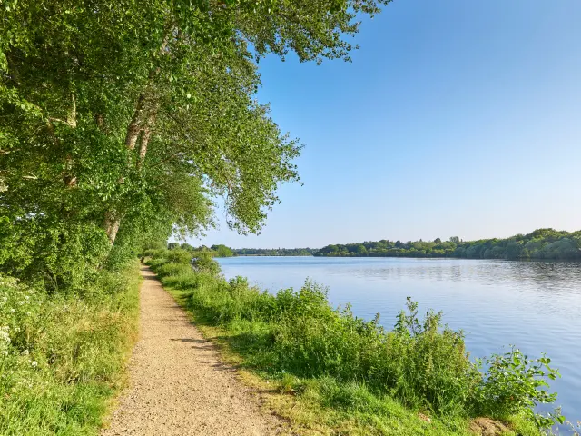 Etang du Moulin Neuf - Ploneour Lanvern