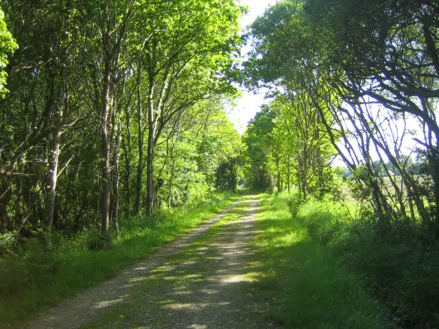 Chemin de la voie verte - Tréméoc