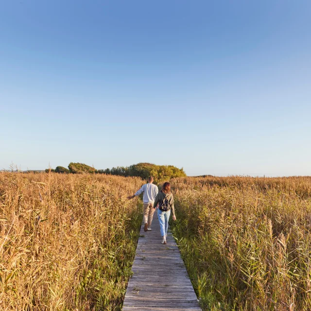 una gita al lago di Tunvel