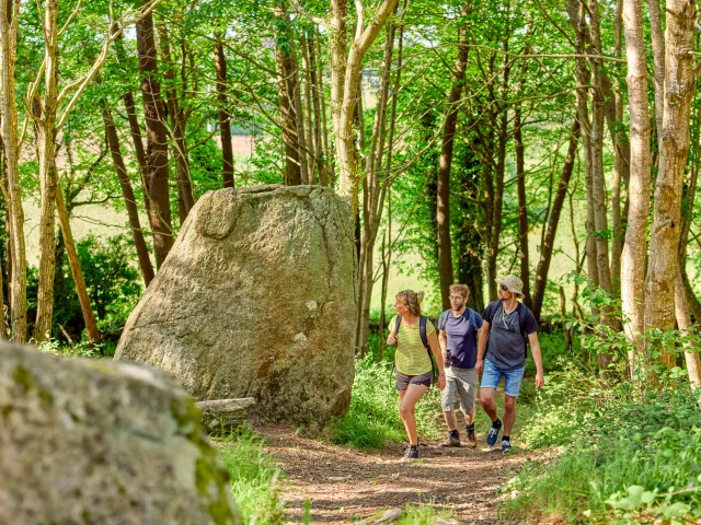 rando Lespurit Ellen - Plovan