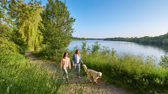 balade à l'Etang du Moulin Neuf - Ploneour Lanvern