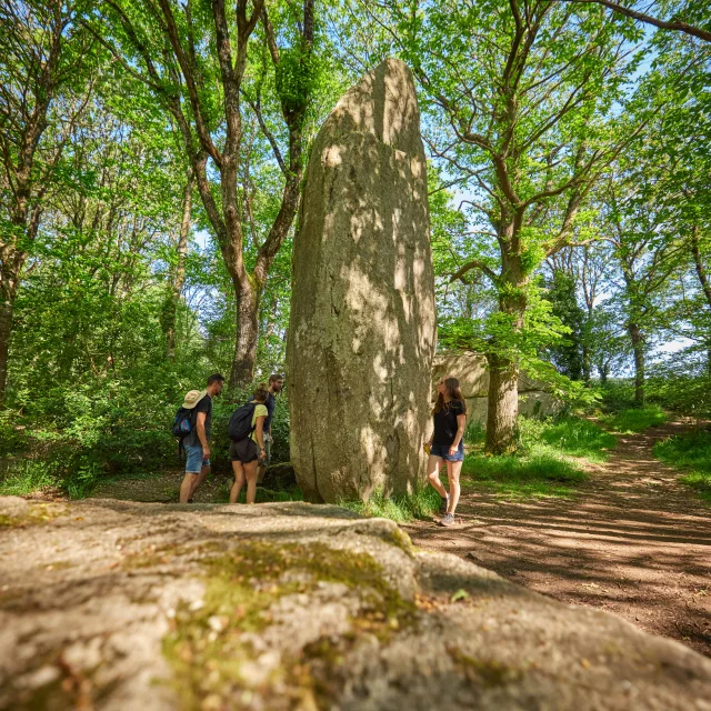 Lespurit Ellen - Plovan