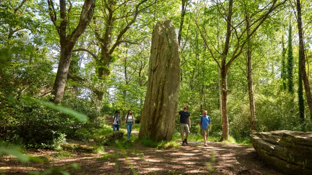 Menhir de Lespurit Ellen - Plovan