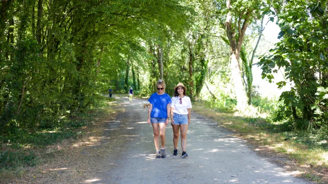Balade dans les sous bois sur la Voie Verte - Tréméoc