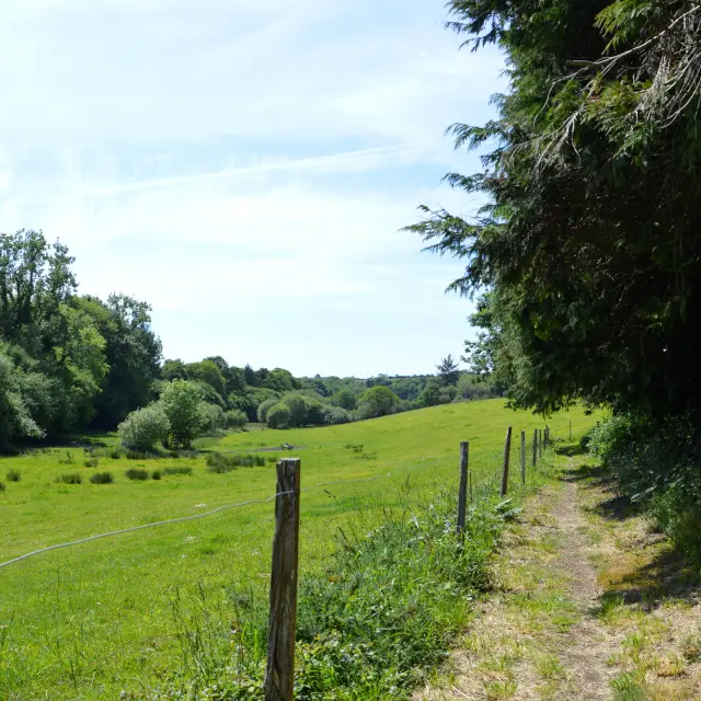 Chemin de Lesven - Gourlizon