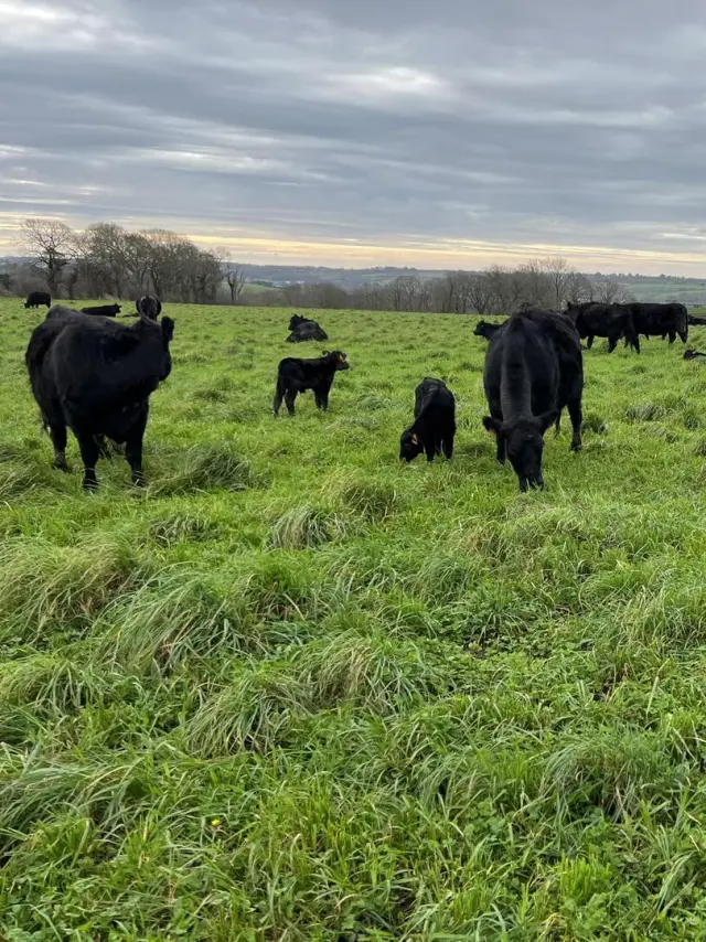 Ferme de Kerdroual - Gourlizon