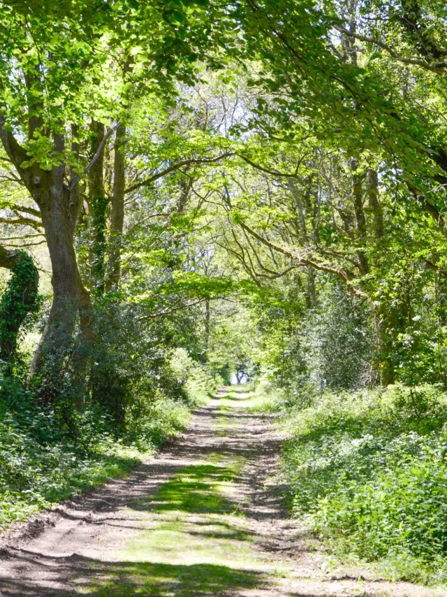 Schleife Von Stang Vraz - Guiler-sur-Goyen