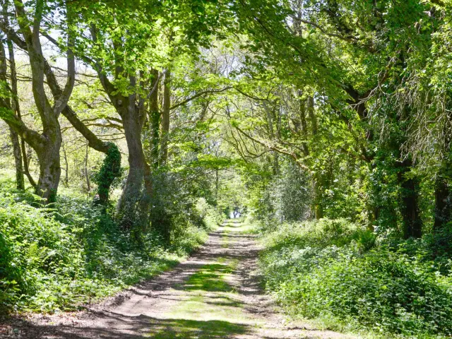 Boucle De Stang Vraz - Guiler-sur-Goyen
