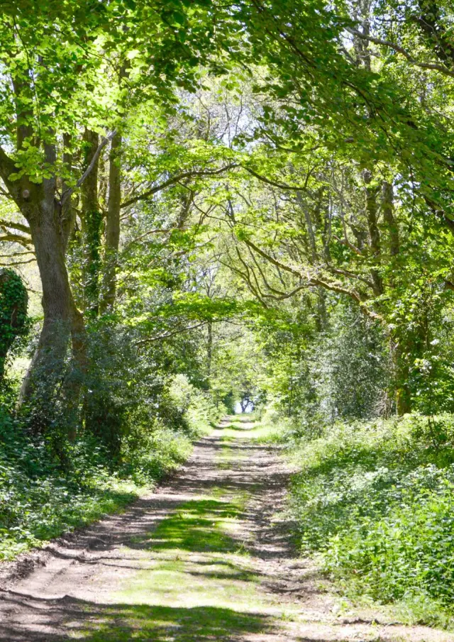 Schleife Von Stang Vraz - Guiler-sur-Goyen