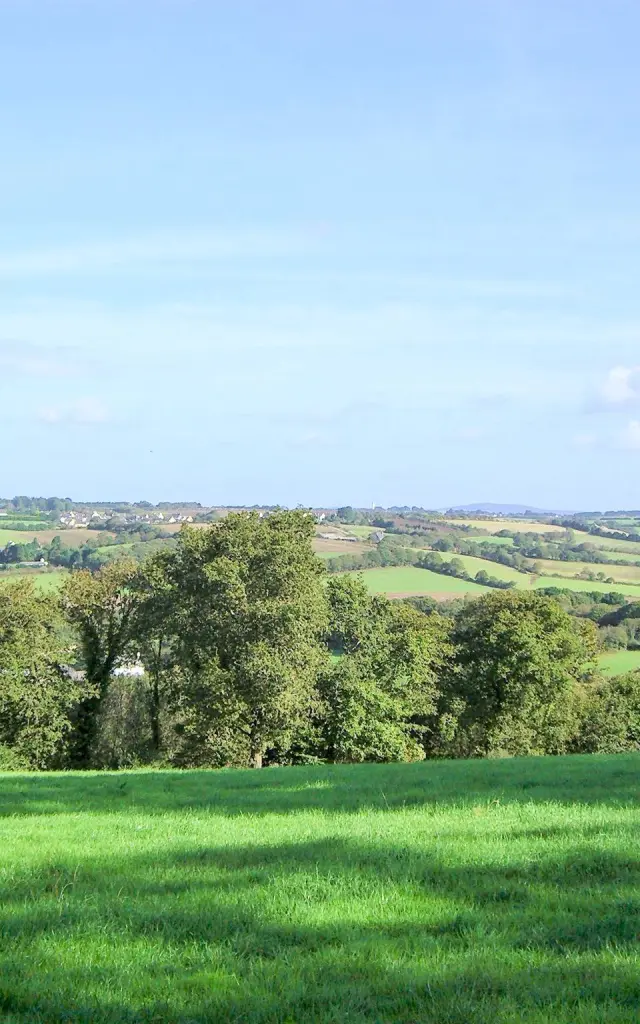 Campagne de Gourlizon