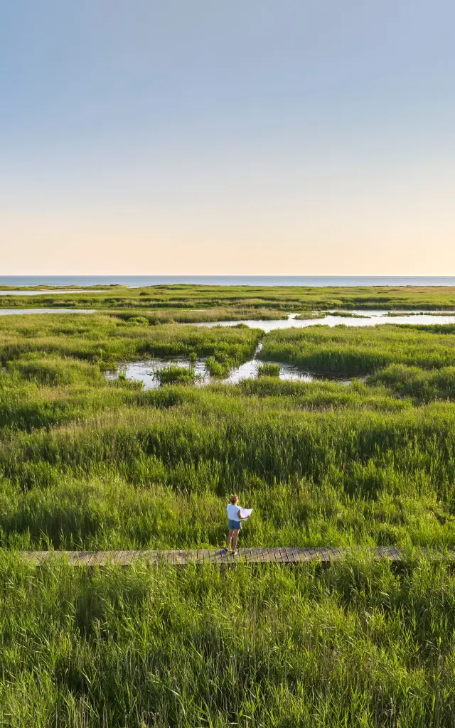 Teich von Trunvel - Tréogat