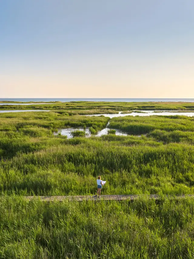 Teich von Trunvel - Tréogat