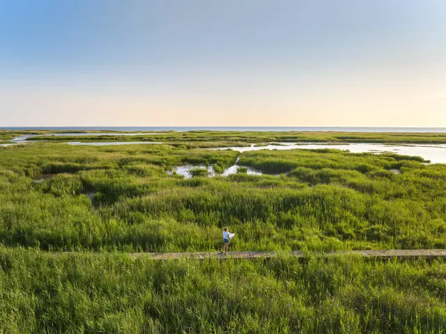 Etang de Trunvel - Tréogat