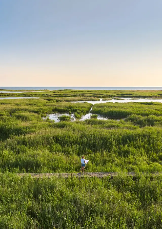 Teich von Trunvel - Tréogat