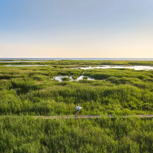 Vijver van Trunvel - Tréogat