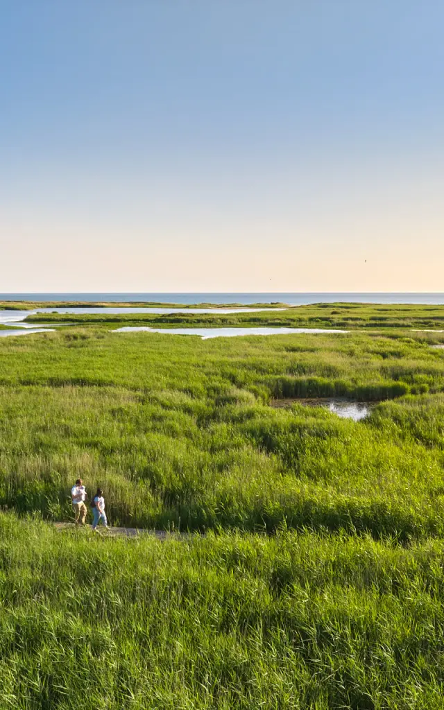 Etang de Trunvel - Tréogat