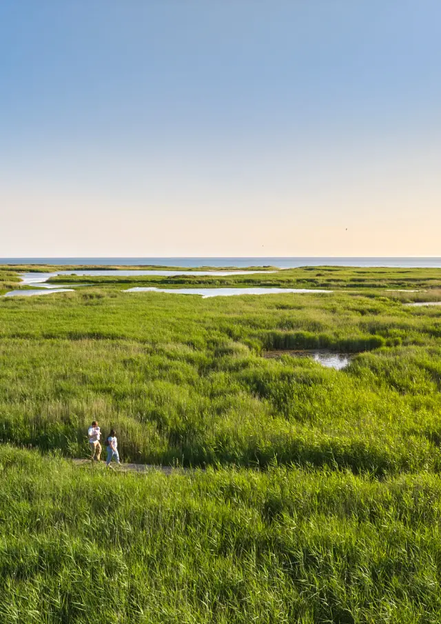 Teich von Trunvel - Tréogat