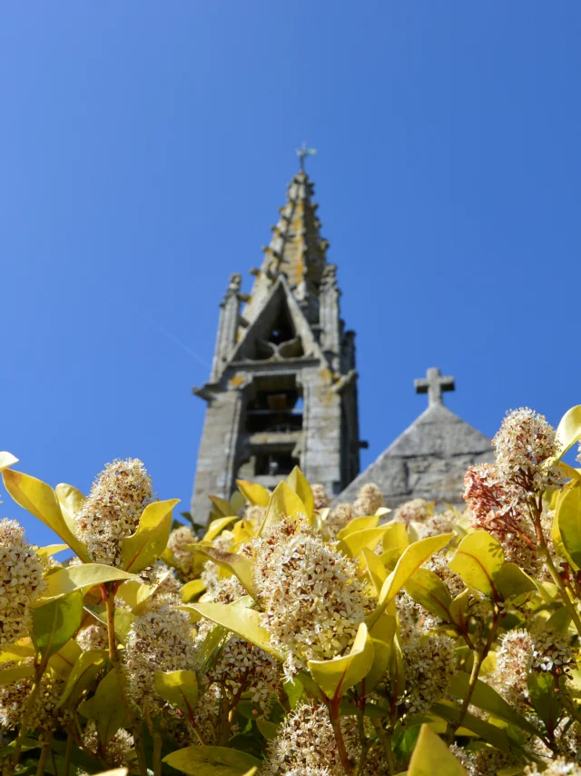 Eglise St Annouarn - Peumerit