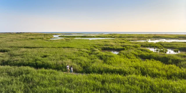 Etang de Trunvel - Tréogat