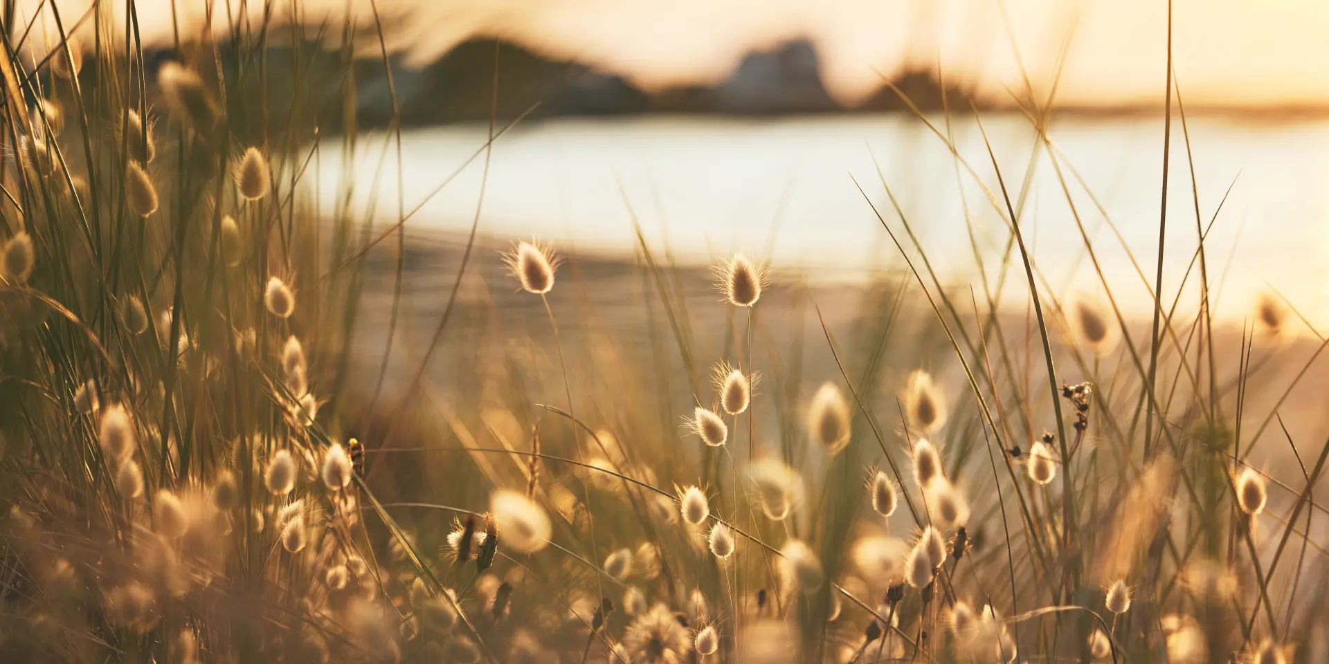 Natur im Pays bigouden