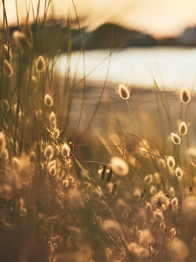 Nature en Pays bigouden