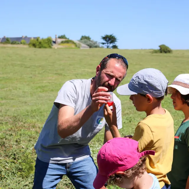 Balade nature de Steven - Maison de la Baie d'Audierne - Tréguennec