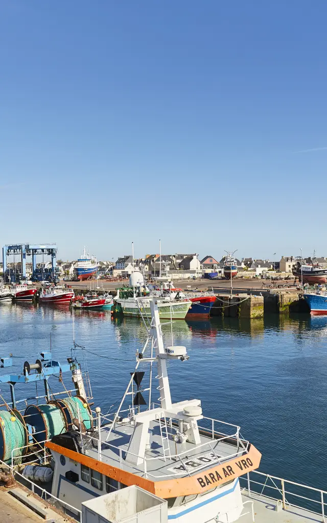 Port de pêche du Guilvinec