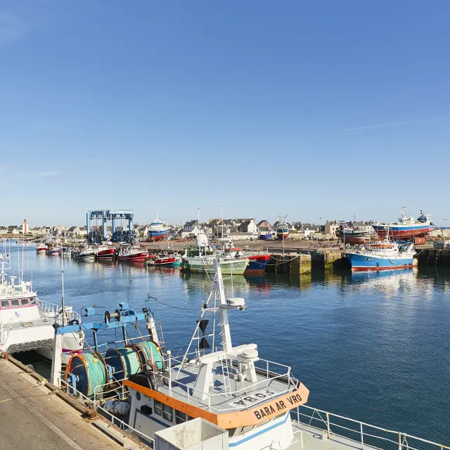 Port de pêche du Guilvinec