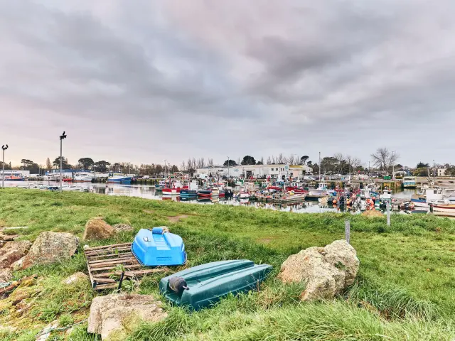 Port de pêche - Loctudy