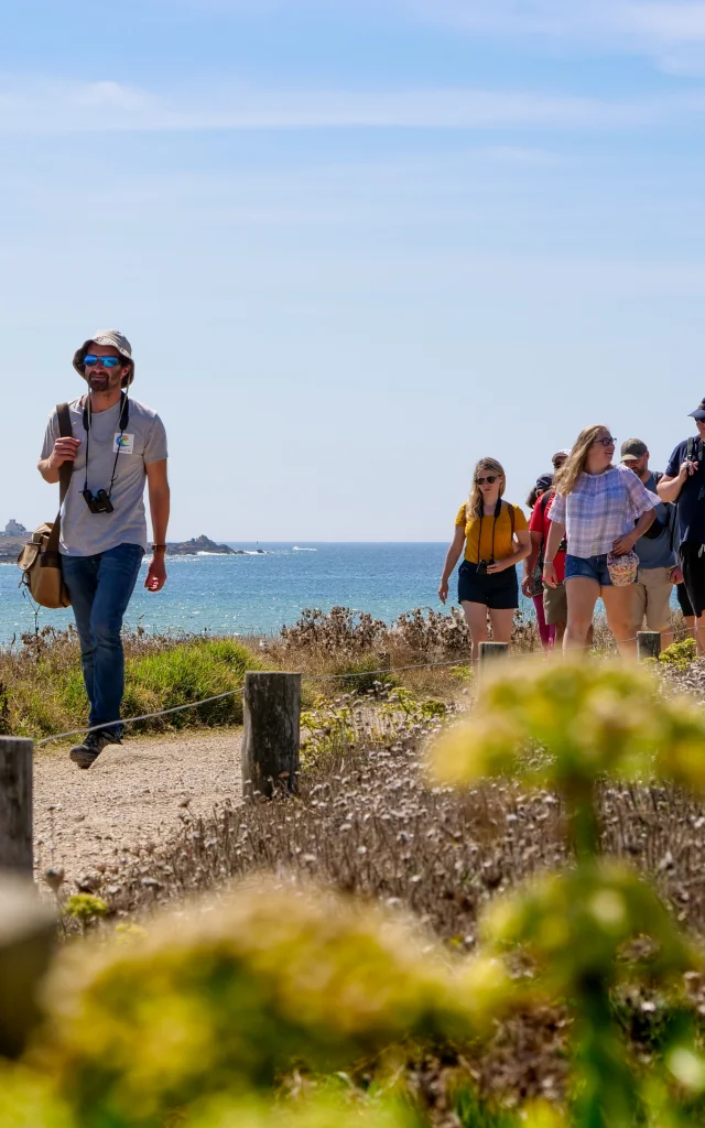 Découverte de la faune et la flore - La Torche - Plomeur - Steven Helias
