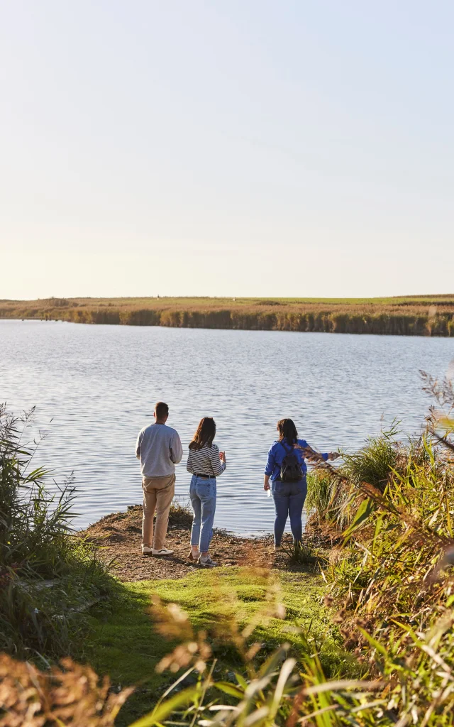 rando à Tréogat à l'étang de Trunvel