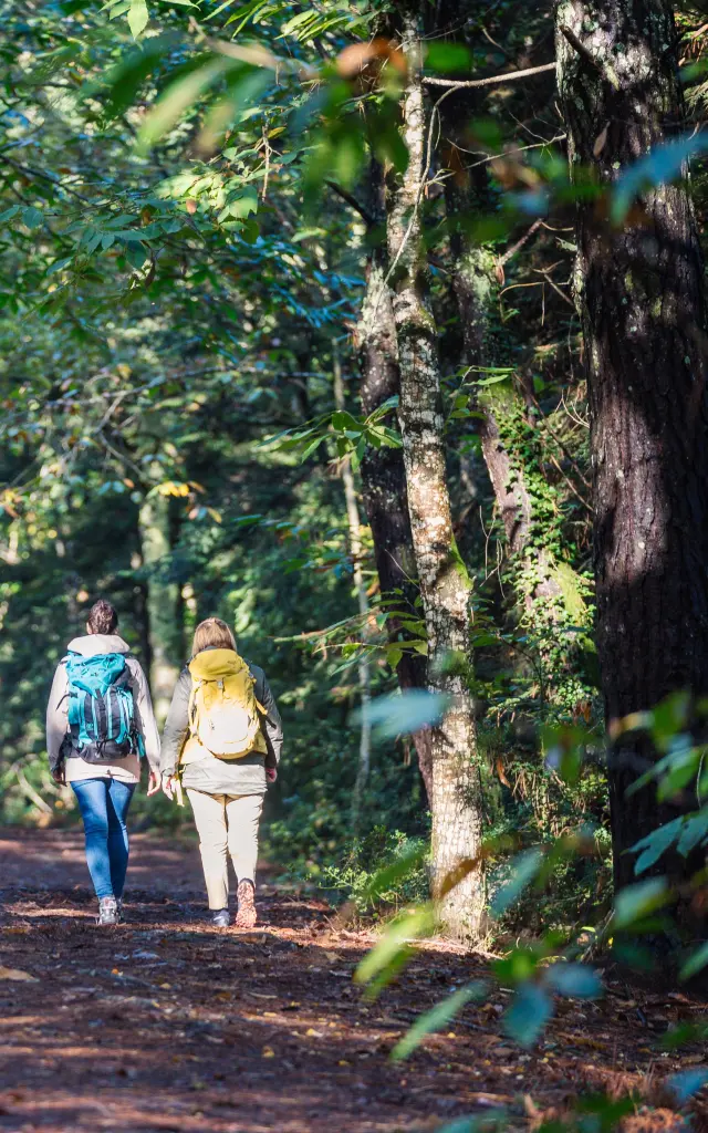 Randonnée au bois de Roscouré - Combrit