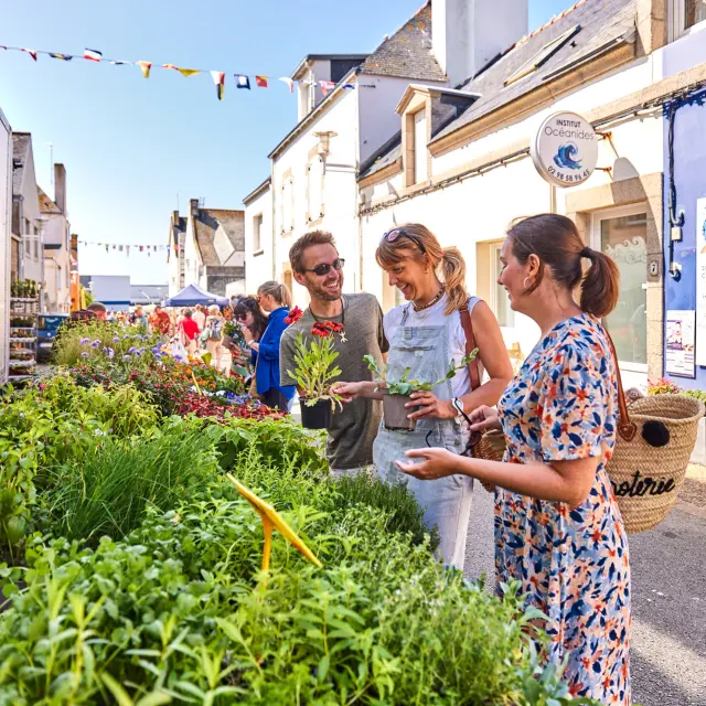 Markt in Le Guilvinec