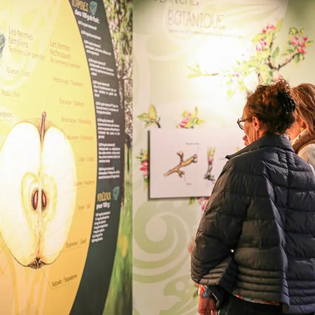 Cidrerie Kerné - Pouldreuzic