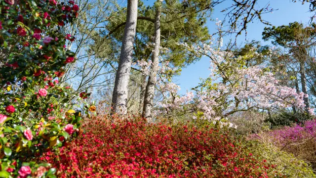 Combrit Parc Botanique Cornouaille