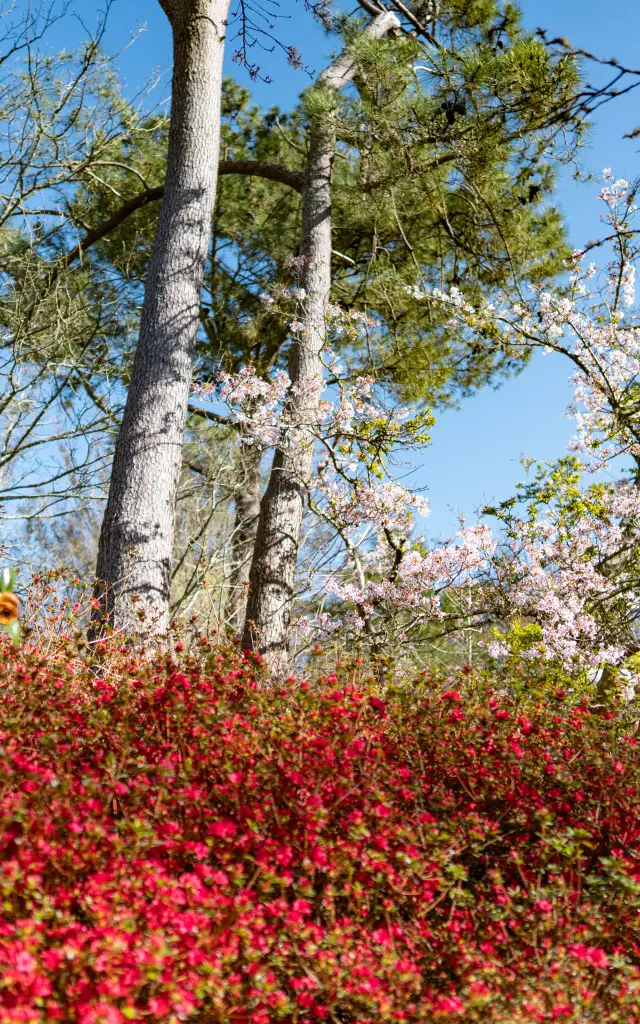 Combrit Parc Botanique Cornouaille