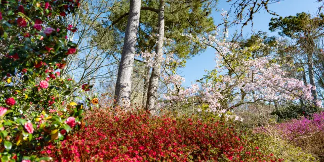 Combrit Botanischer Park Cornouaille