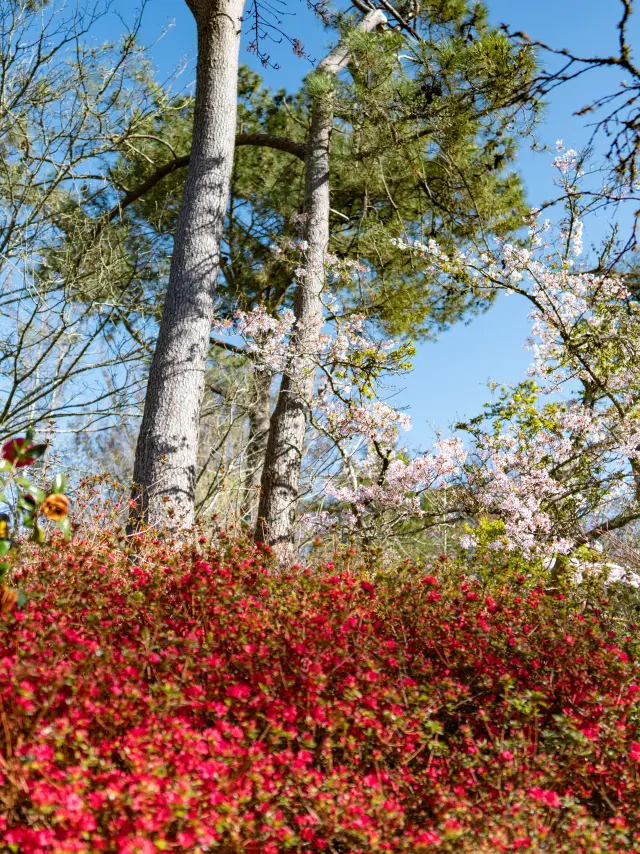 Combrit Botanischer Park Cornouaille