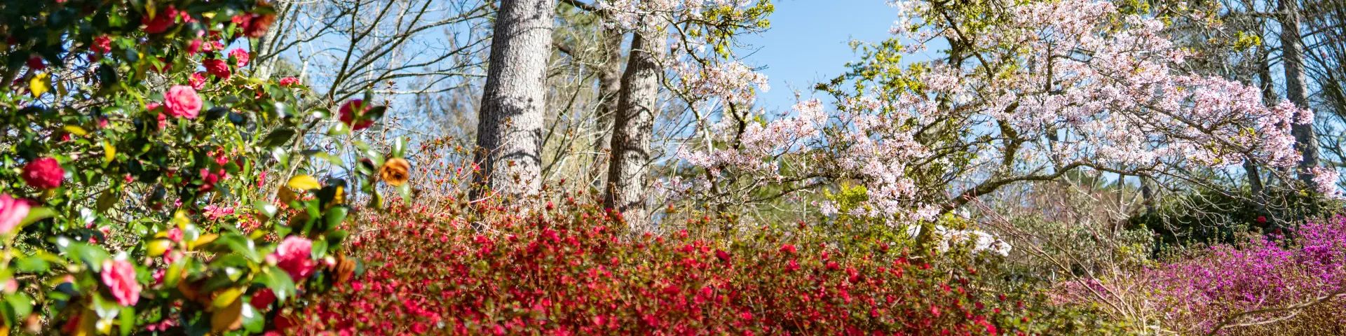 Combrit Botanischer Park Cornouaille