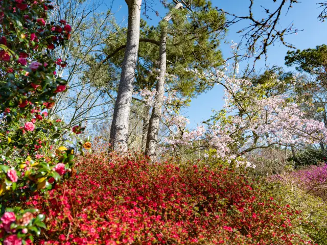 Combrit Botanischer Park Cornouaille
