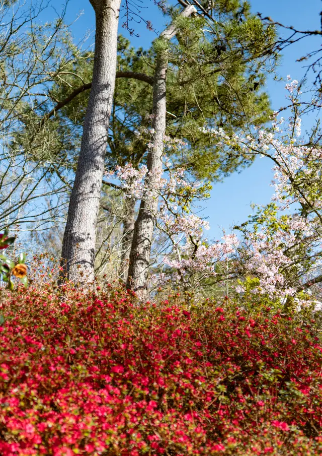 Combrit Parc Botanique Cornouaille