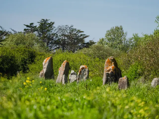 Alignements de la Madeleine - Penmarc'h