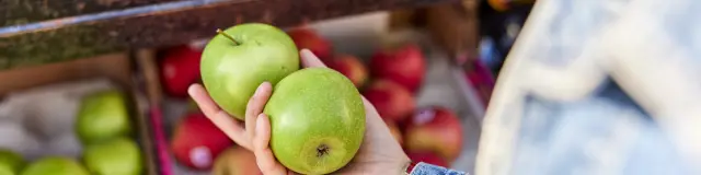 Jährliche Märkte - Pays bigouden